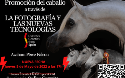Encuentro virtual sobre la promoción de los caballos a través de la fotografía y las nuevas tecnologías