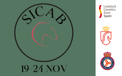¡SICAB 2024 vuelve del 19 al 24 de noviembre! ¡Guarda la fecha para vivir la excelencia ecuestre con nosotros!