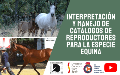 Seminario 5. Interpretación y manejo de catálogos de reproductores de especie equina