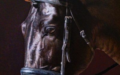 Prescriptores internacionales visitarán SICAB 2025 en el marco de una misión inversa