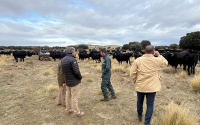 Un representante de la Universidad de Maracaibo visita ganaderías españolas en una misión inversa organizada por ICEX y LGFS