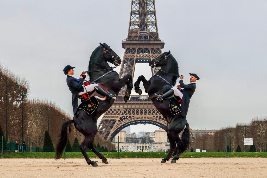 Las Fotos son propiedad de @associaciocavallmenorca y autoría de @katerina_pu